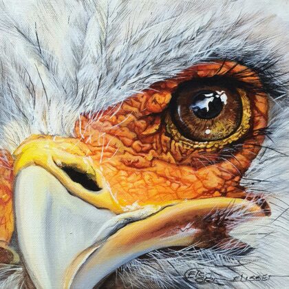 Vision of the Heights