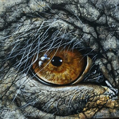 Wisdom in the Wrinkles