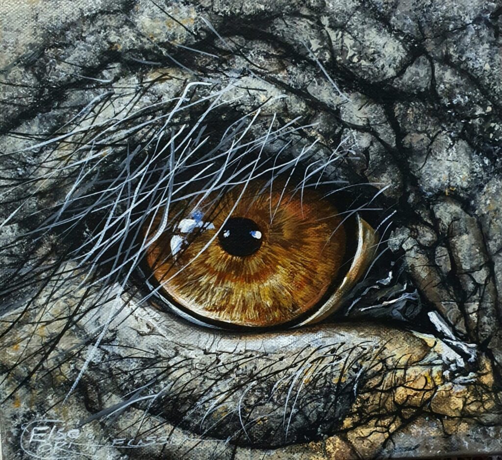 Detailed wildlife painting of an African elephant eye by South African fine artist Elsa Cornelissen.